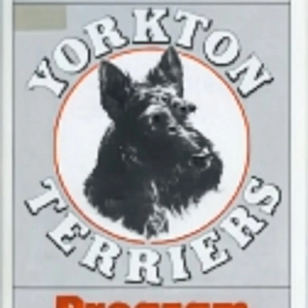 an orange circle containing a black and white image of a Scottish terrier