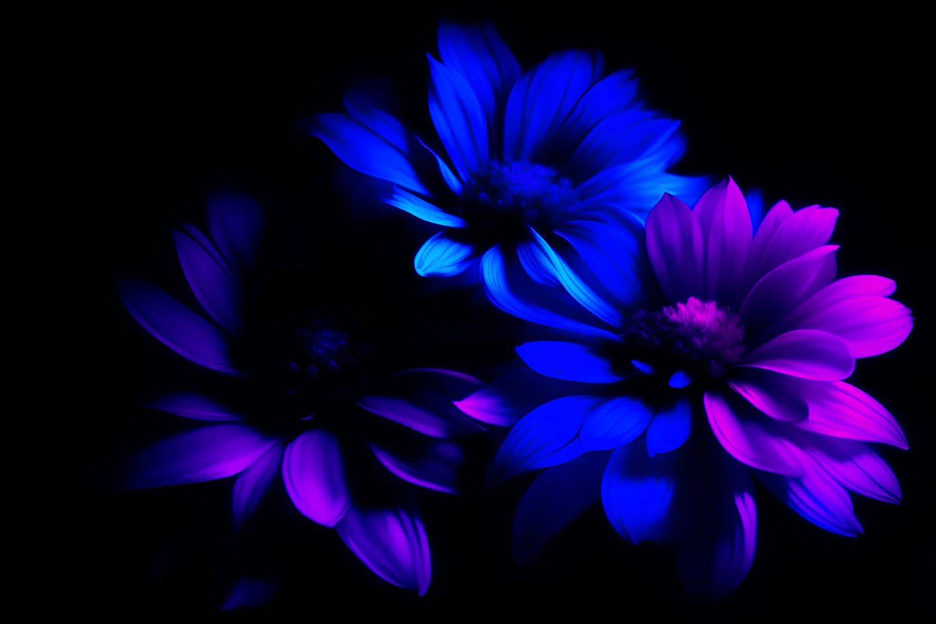 Florescente and vibrant three sheets, Dark background, violet blue and magenta, real texture