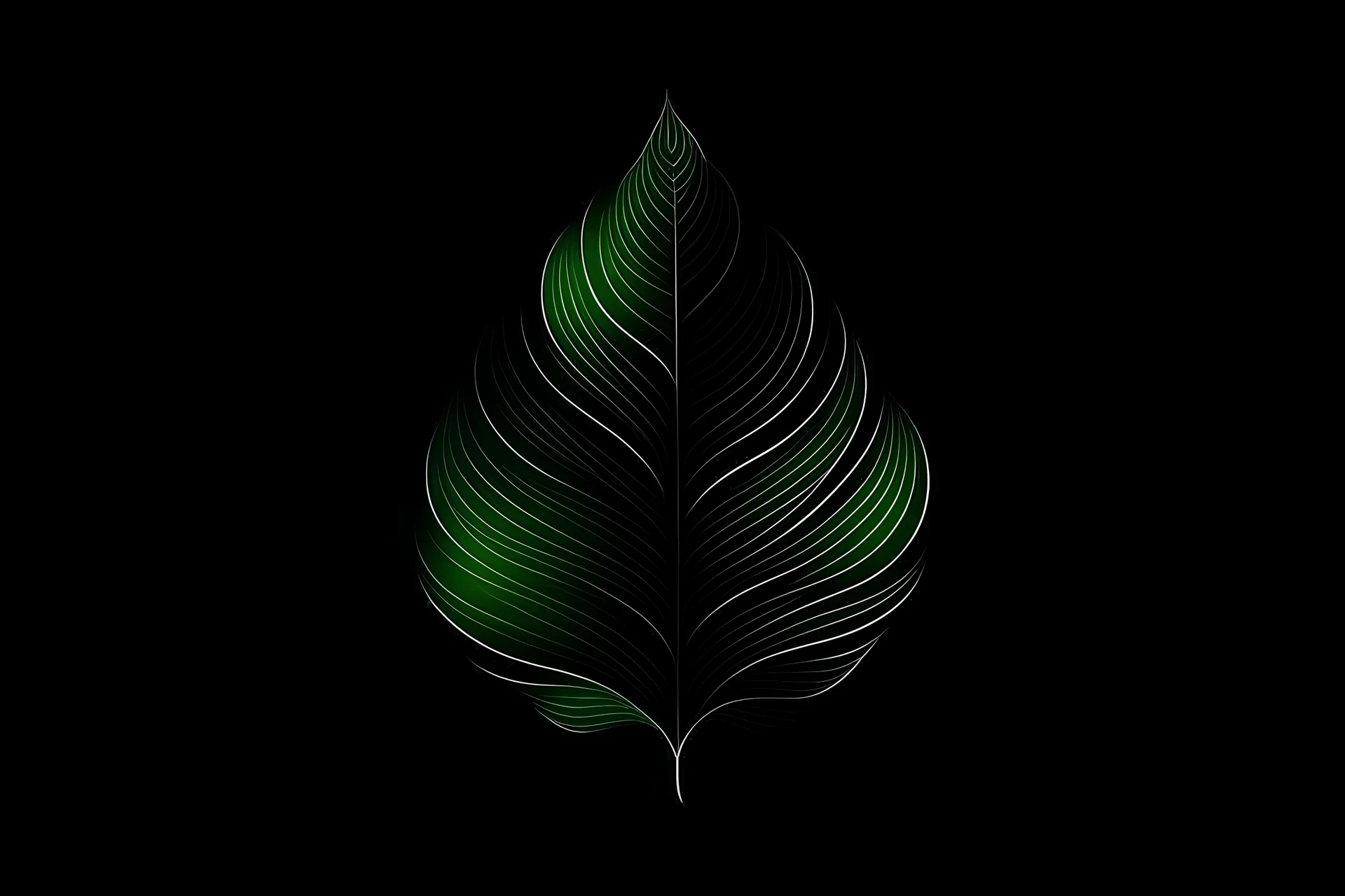 leaf, vector style, solid color, Dark background,