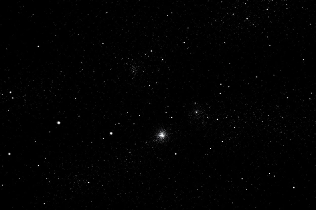 Dark galaxy stars