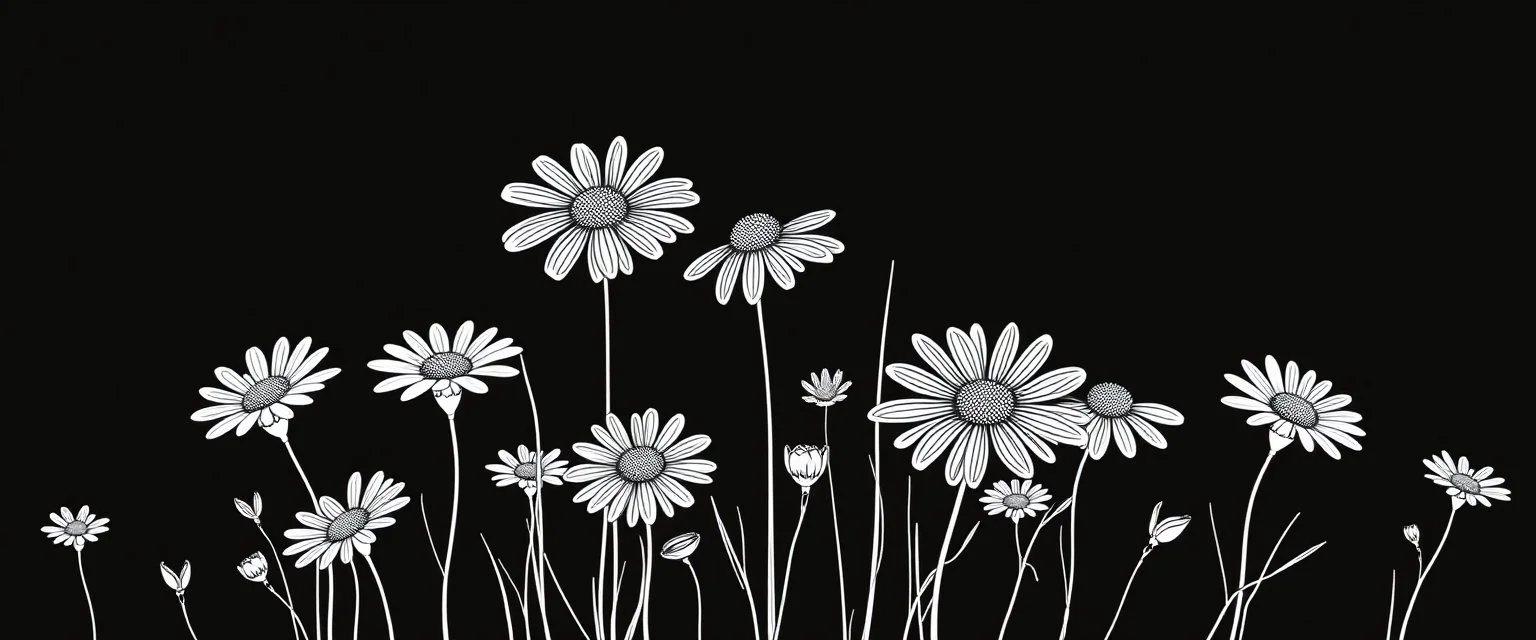 linework daisies, flowing in the wind, spring, simplified, patterned, thicker lines