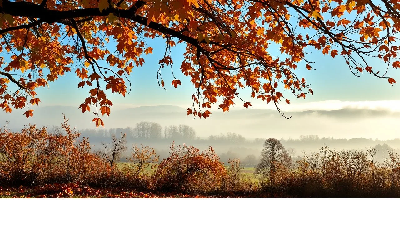 Autumn: falling leaves, Misty mornings, fog over distant fields or forests, sunshine; people wear scarves, woolly hats, gloves, steaming hot drinks; birds migrating, squirrels gathering nuts, rabbits, chestnuts, acorns, berries, rowan, holly, mistletoe, beautiful colours, atmospheric. Award winning photograph.