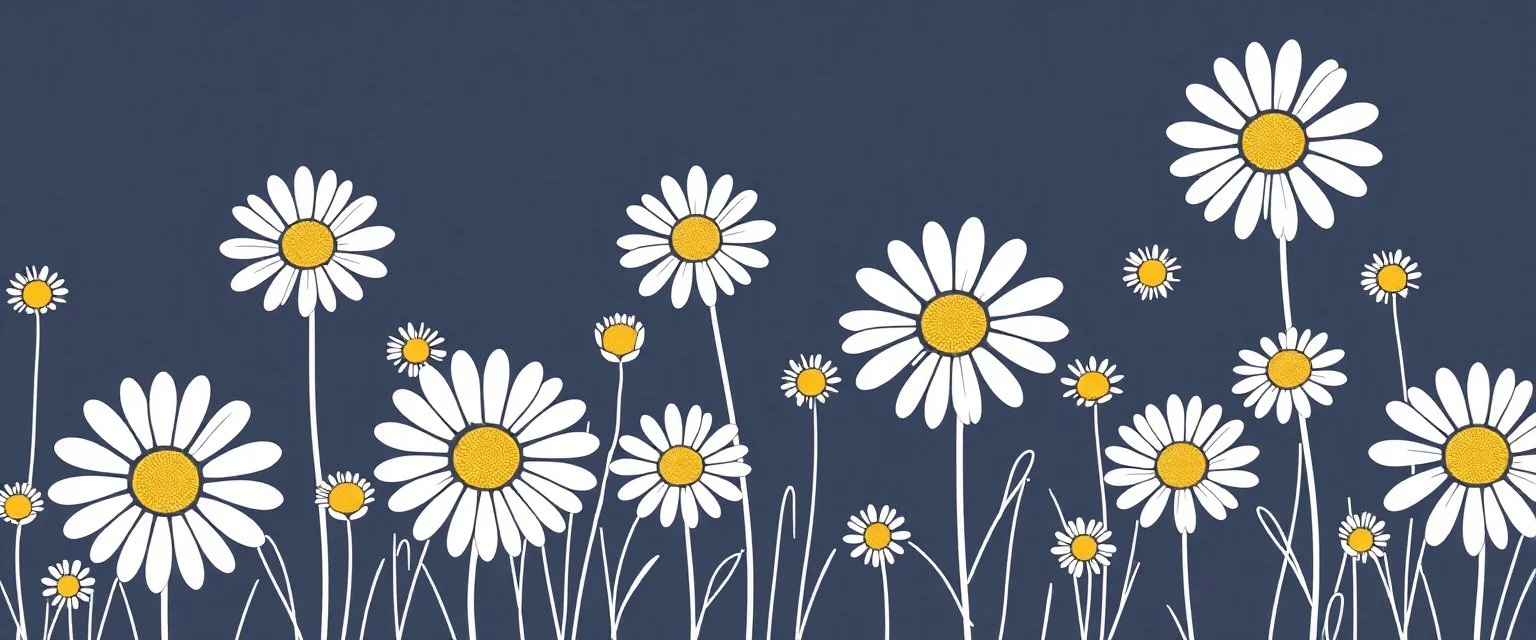 linework daisies, spring, simplified, patterned, vector