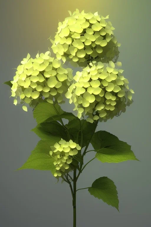 an isolated translucent hydrangea plant, 3d render, art nouveau style, ultra realistic, masked transparent flat background, backlight, popular on sketchfab, pixelsquid, 8k, volumetric lighting, super focused, no blur, trending on artstation, octane render, ultra detailed, hyperrealistic, by artgerm and alphonse mucha