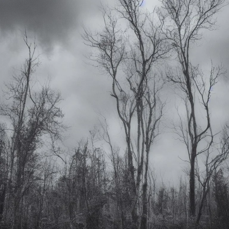 Greyscale forest, sad person, cloudy sky