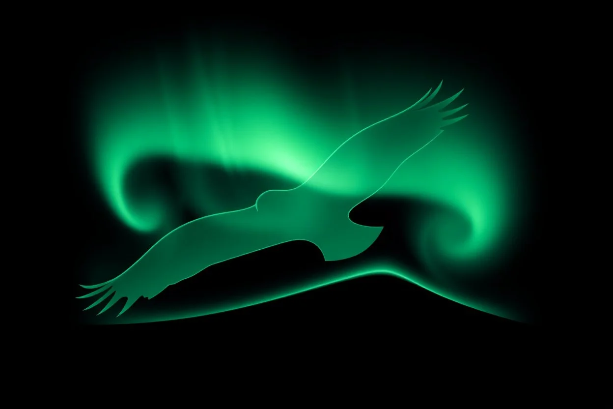 graphic shape of the aurora borealis with bottom edge resemblance to an hawk in flight. smooth vector on black