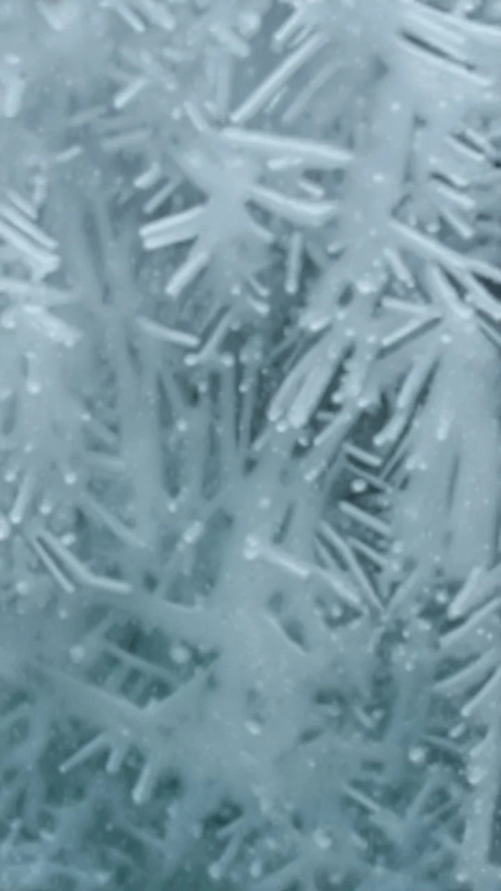 frost formed over glass
