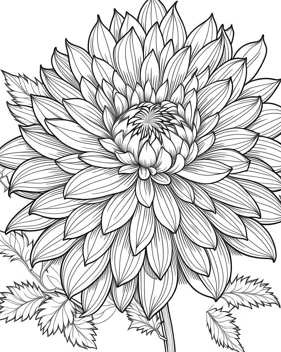 real massive Dahlia flower coloring page