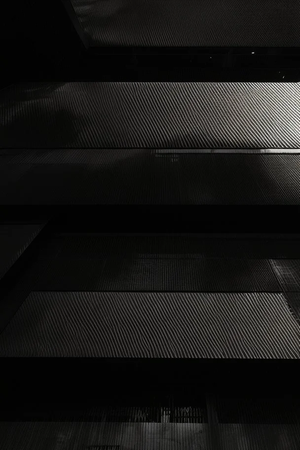 building black an white special vision
