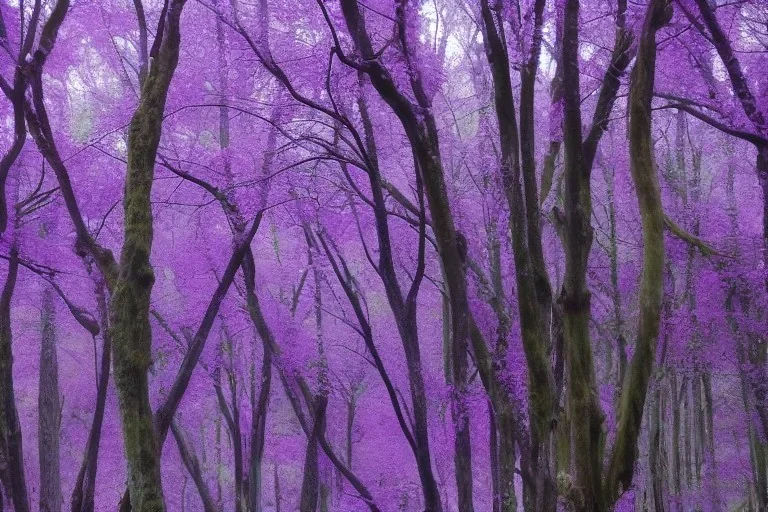 purple trees