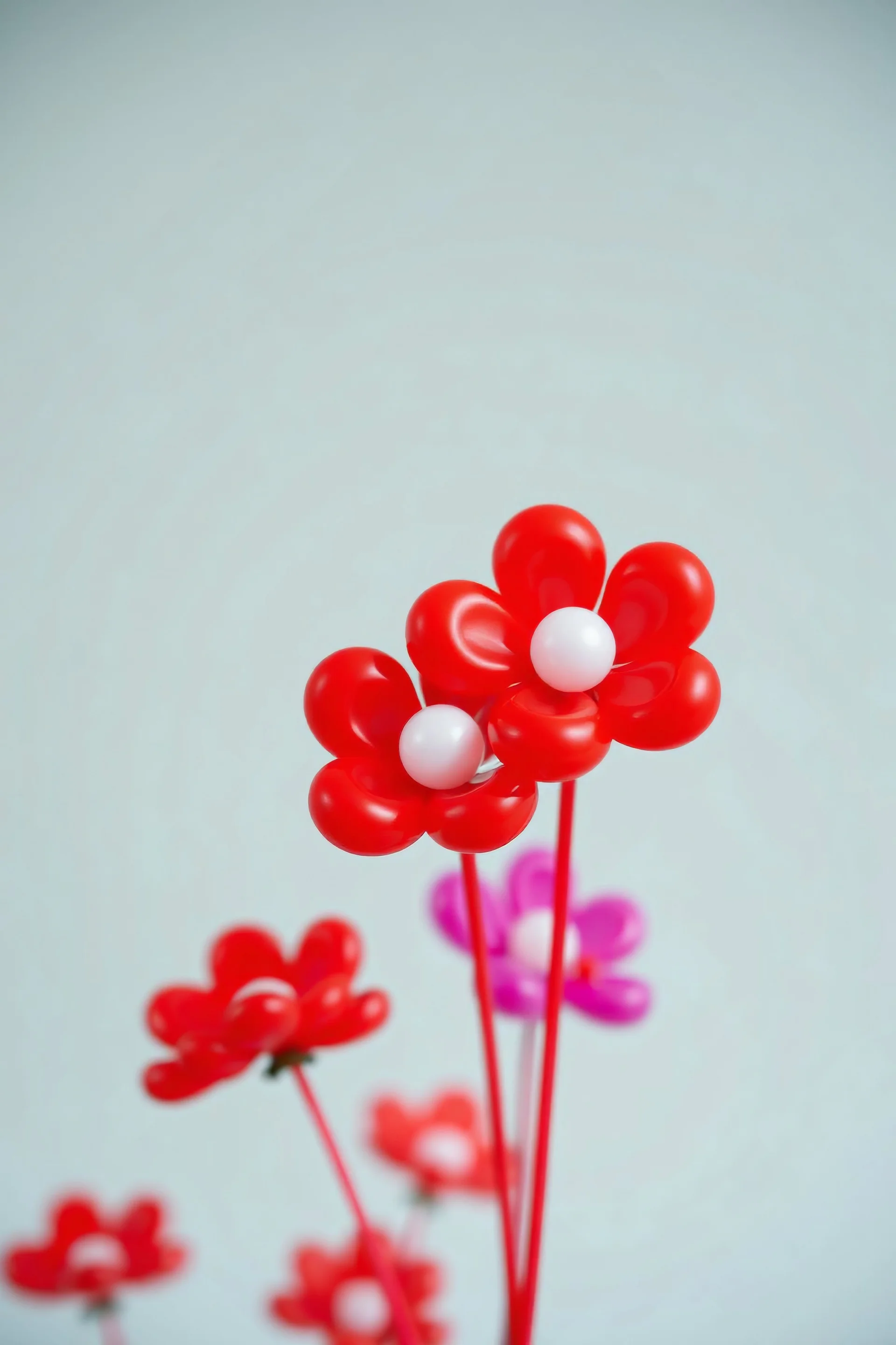 plastic balloon flowers, red bacground