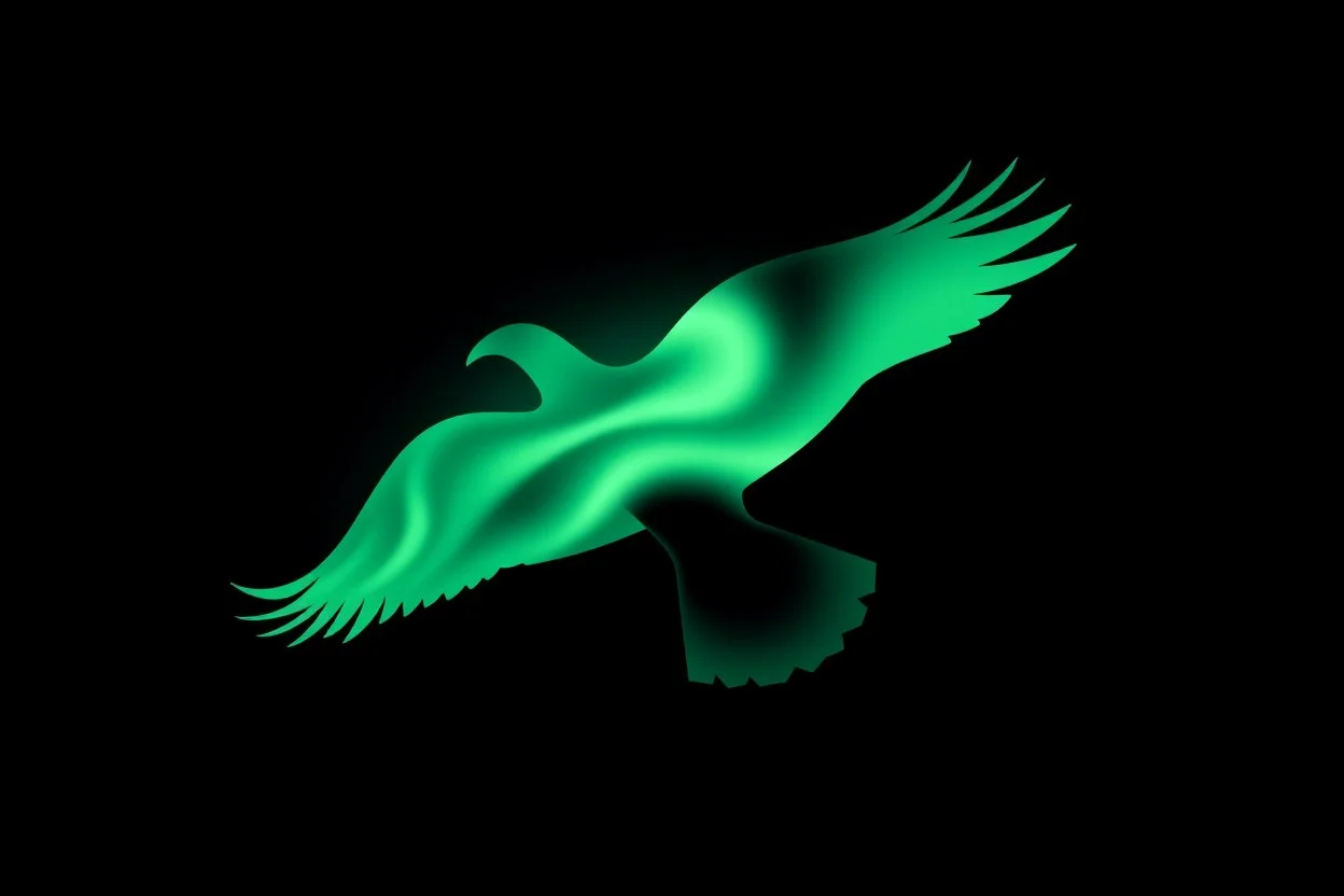 graphic shape of the aurora borealis with slight resemblance to a bird of prey in flight. smooth vector on black