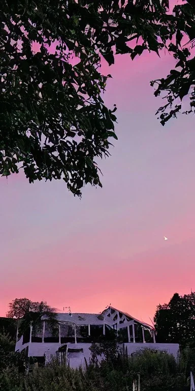 Snoop dogg sitting on a chair. pink houses, pink sky, pink smoke, moon, trees