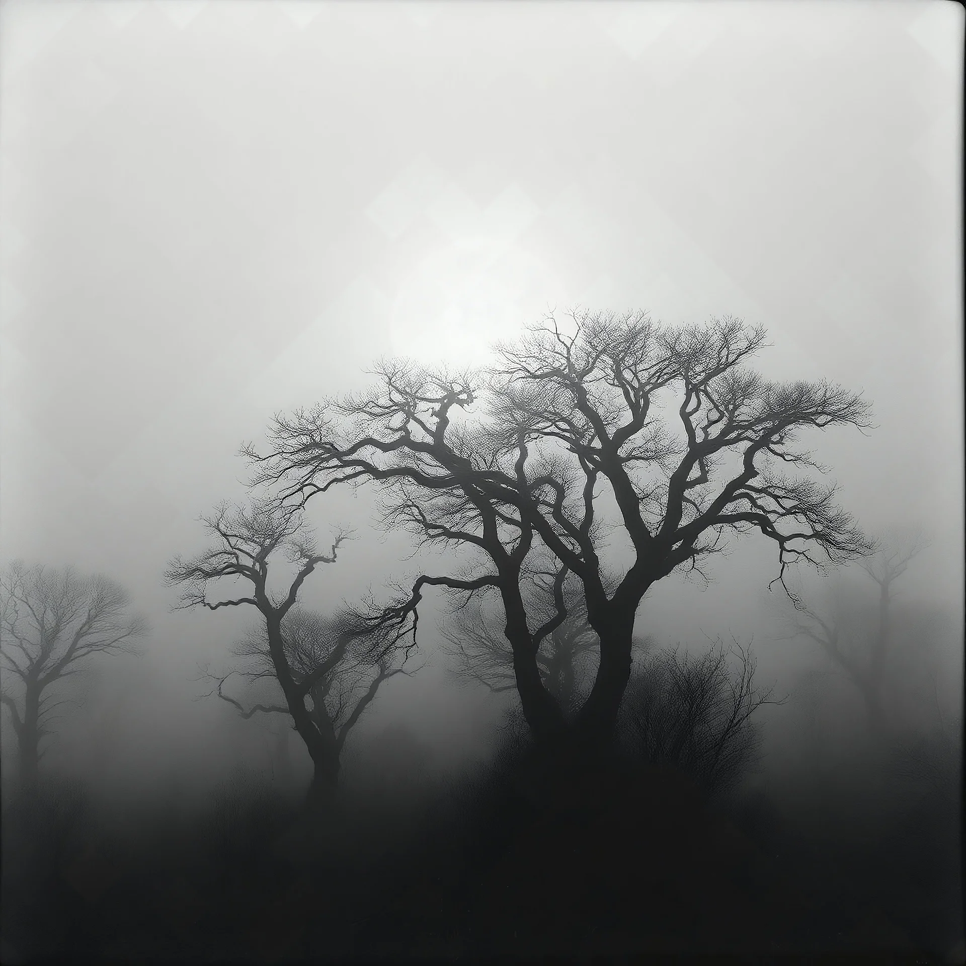 Close-up Ilford photograph of a creepy surreal landscape, eerie, no style, very surreal, trees, spooky, metaphysical objects, giant sun, intricate, thoughtful, appalling, deep 3d field, 8k, hypermaximalist, fog