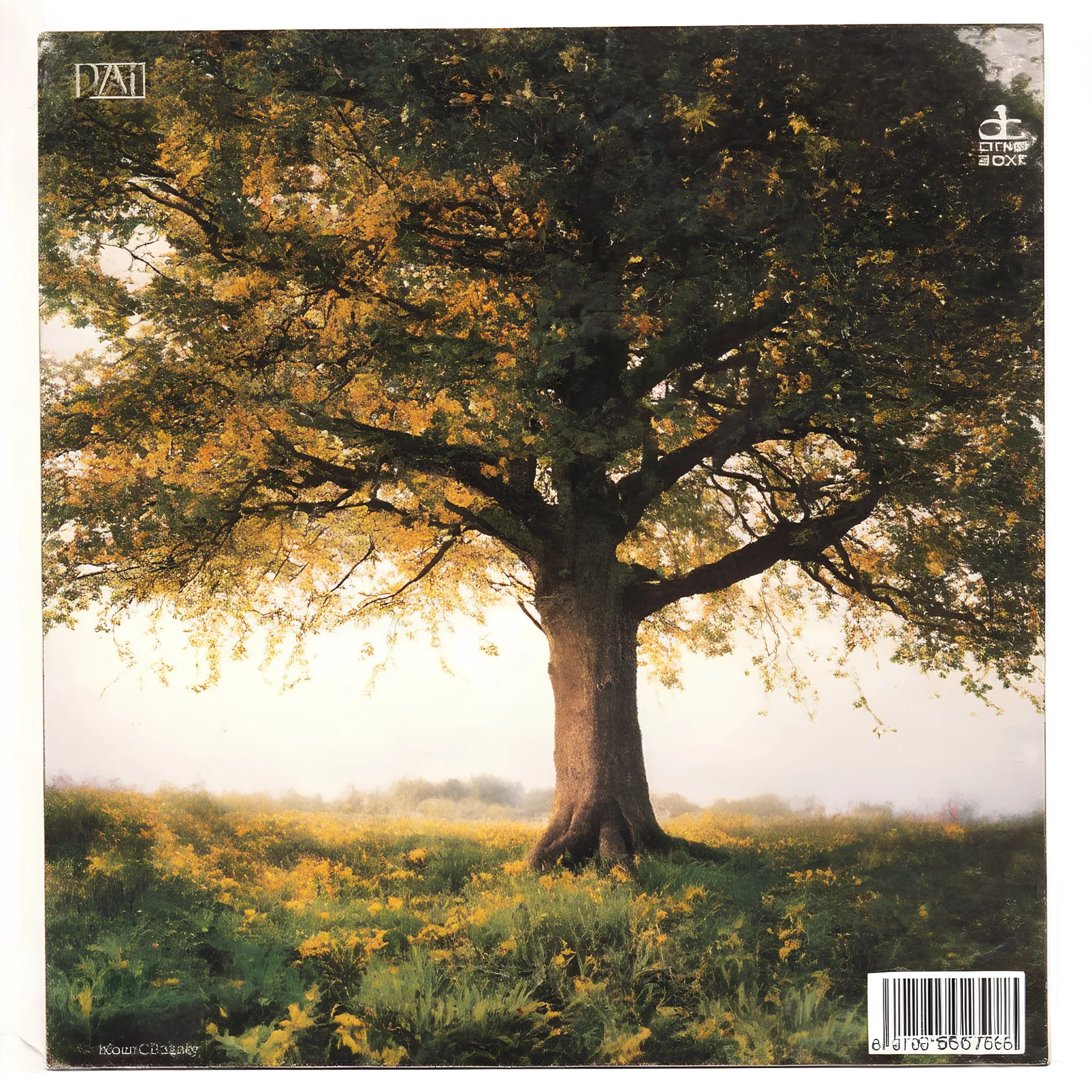 old cd cover with a tree