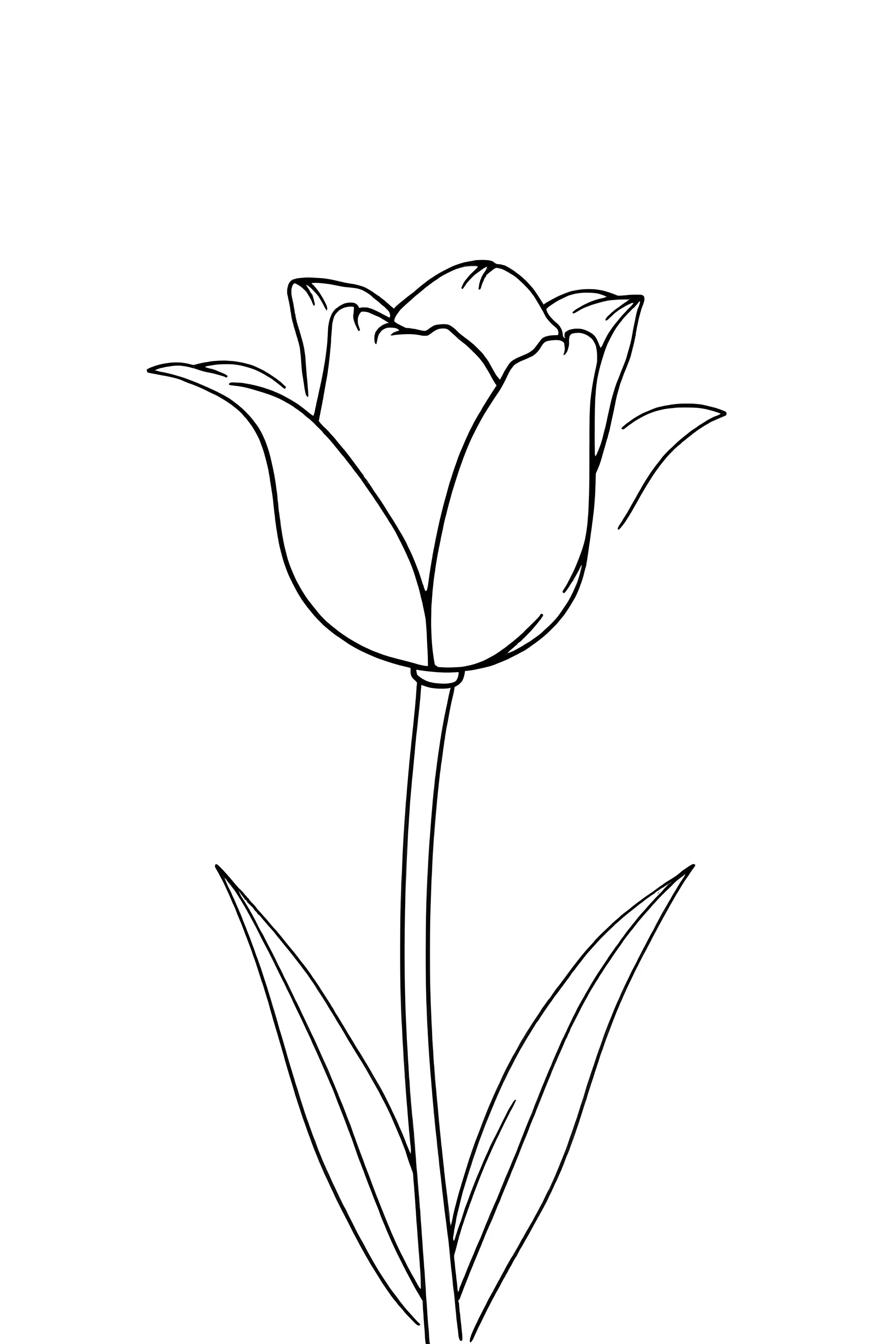 outline art for tulipan for coloring pages ,white background,sketch style, full body, only use outline, clean line art, white background, no shadows and clear and well outlined,