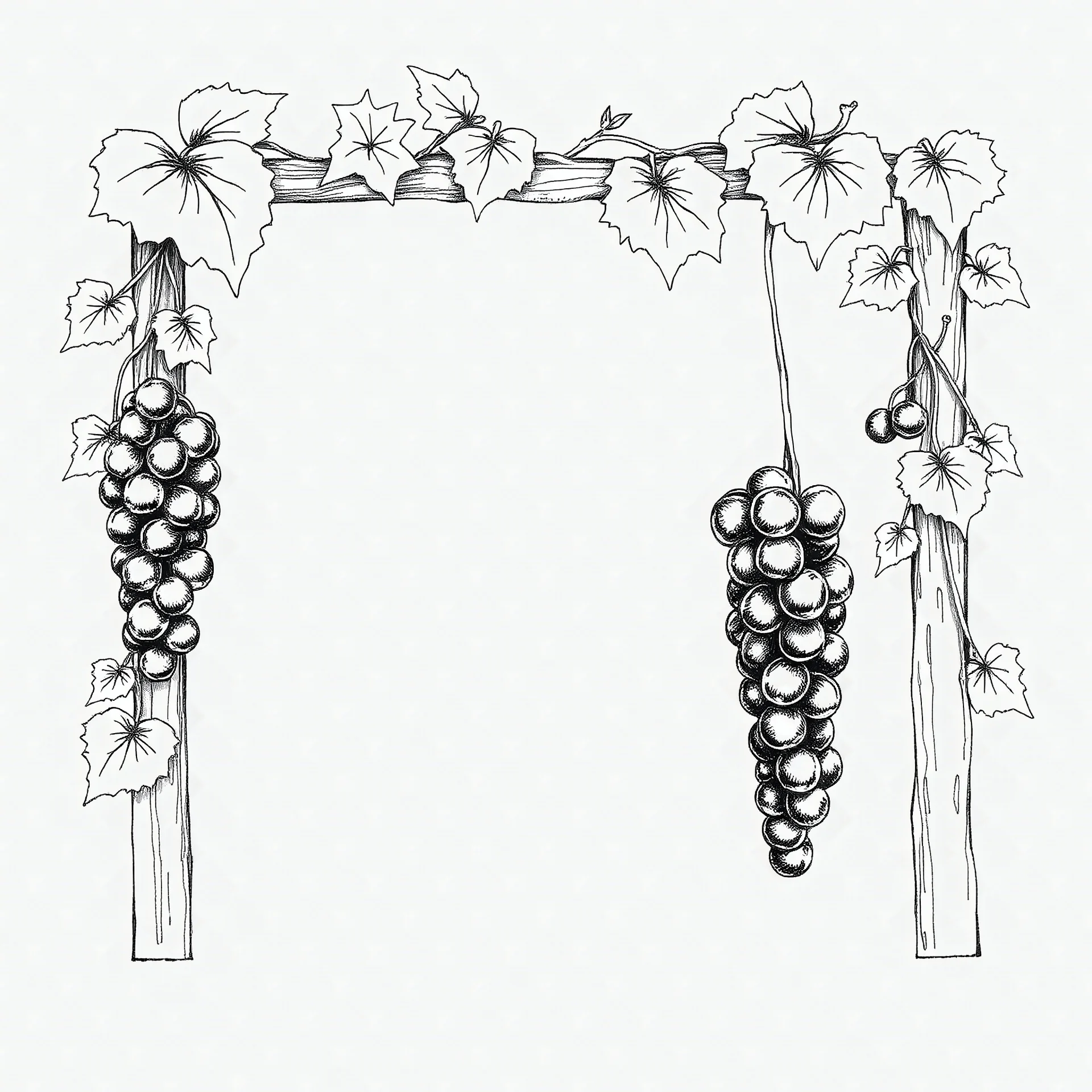 Black pen drawing of a square frame made with hanging grapes and raisins