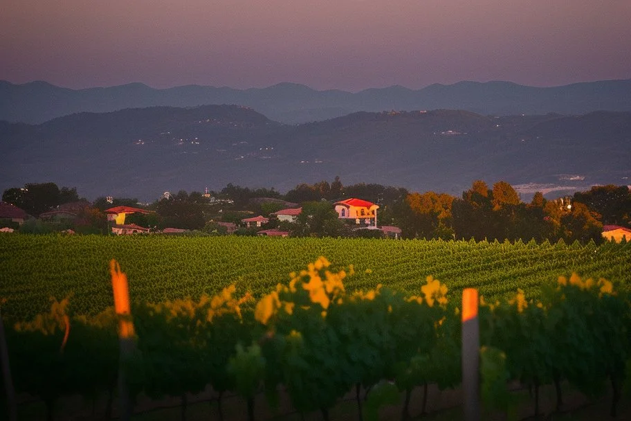 viñedos al atardecer con un pueblo al fondo, fotografía real, foto periodismo, fotografía realizada con una cámara Leica y un objetivo de 50mm