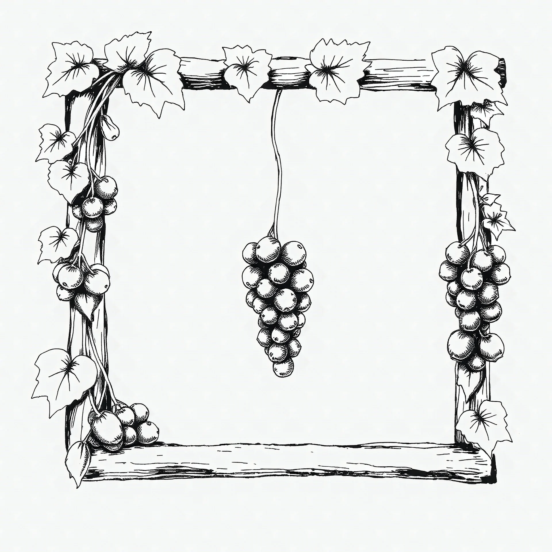 Black pen drawing of a square frame made with hanging grapes and raisins