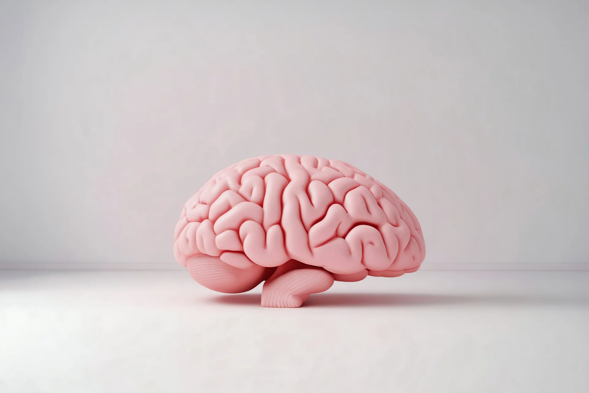 Une pièce vide blanche, , sur le sol un cerveau rose, liminal atmosphere