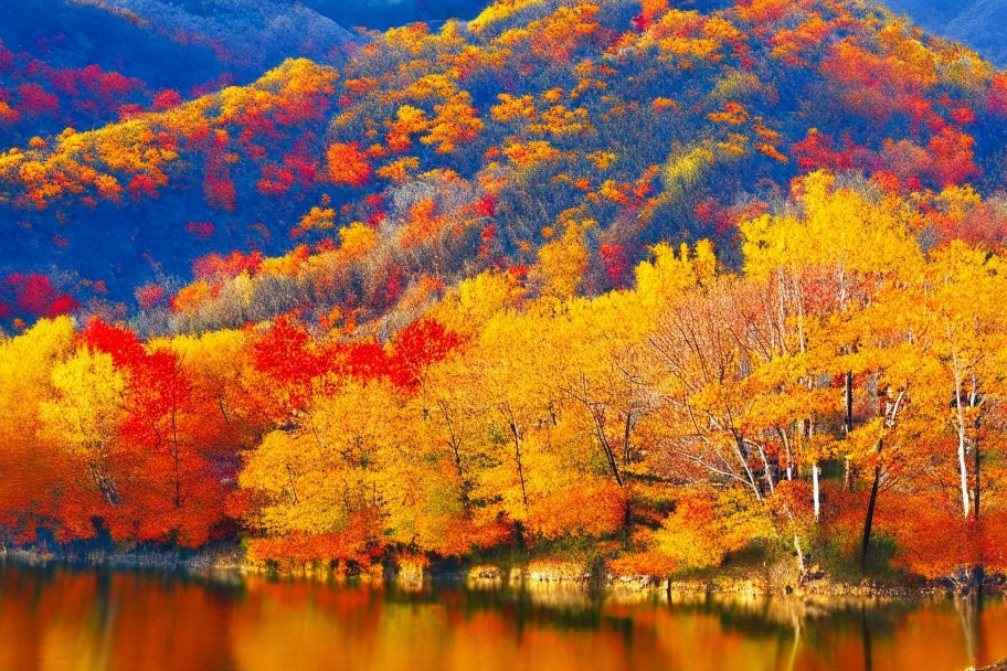 Autumn scene at northeast china