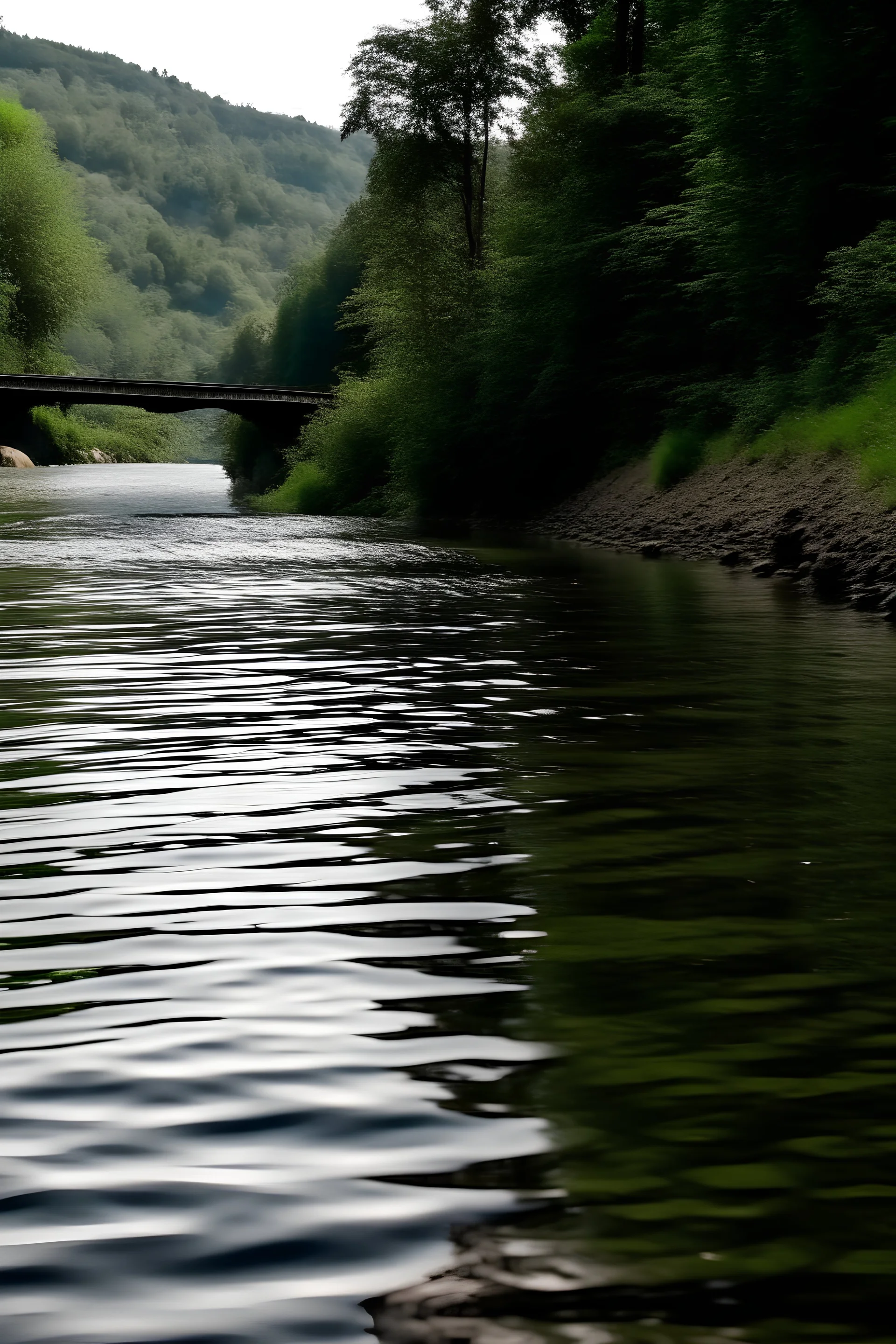 the river neckar at heidelberg