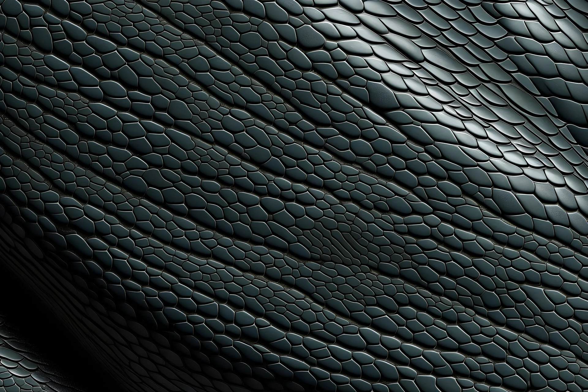 Detailed shark skin