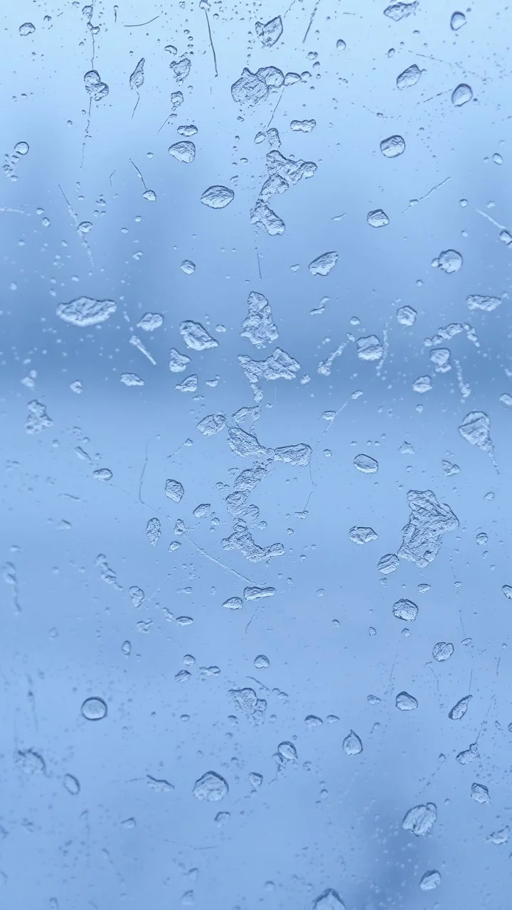frost covering glass