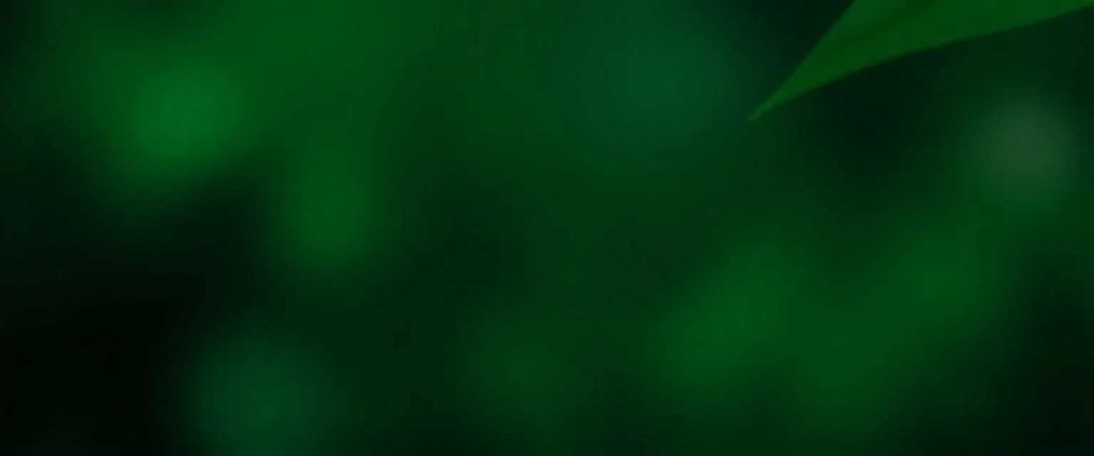 a song about pause sounds, with some pause sounds in it