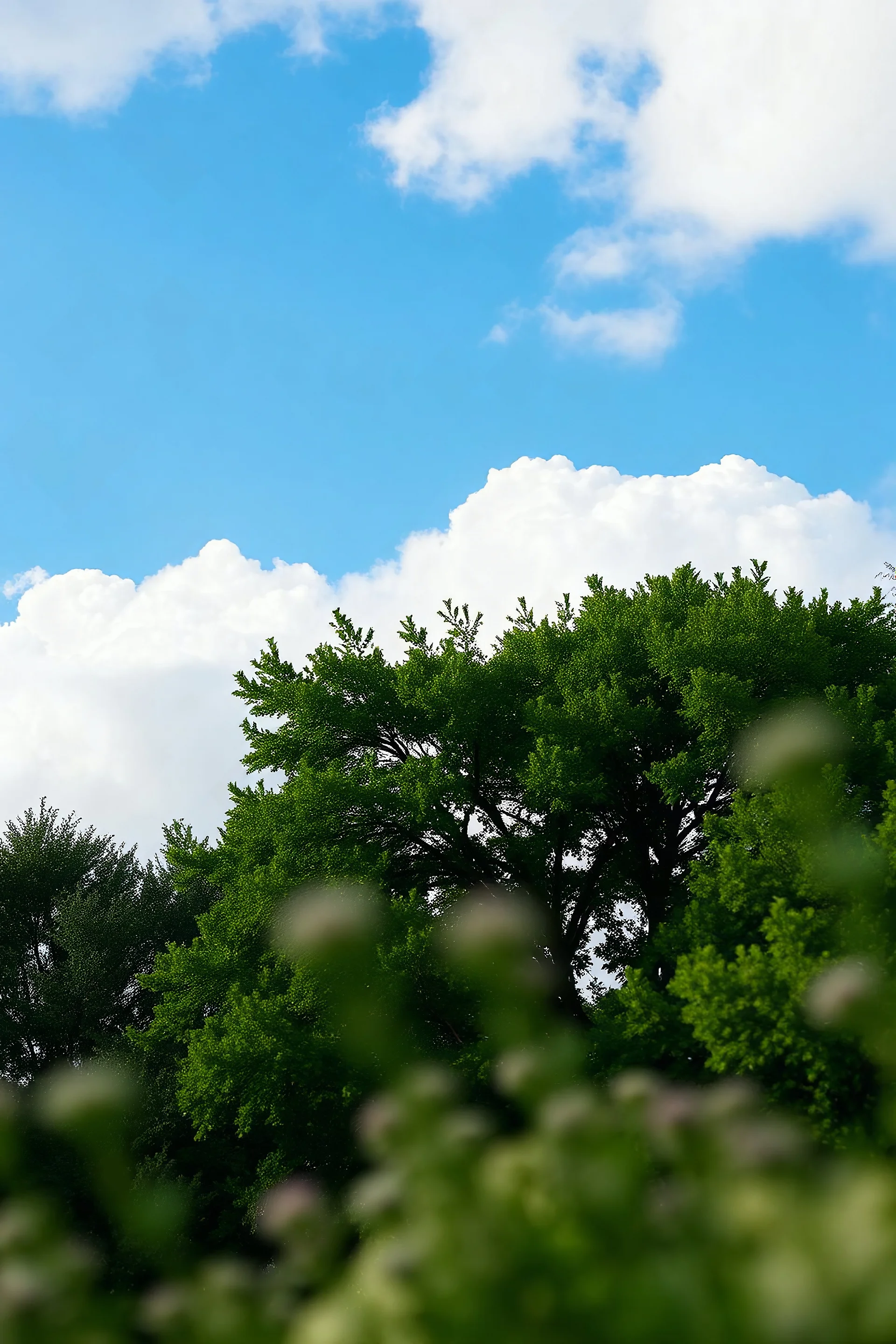 blue sky with soft clouds