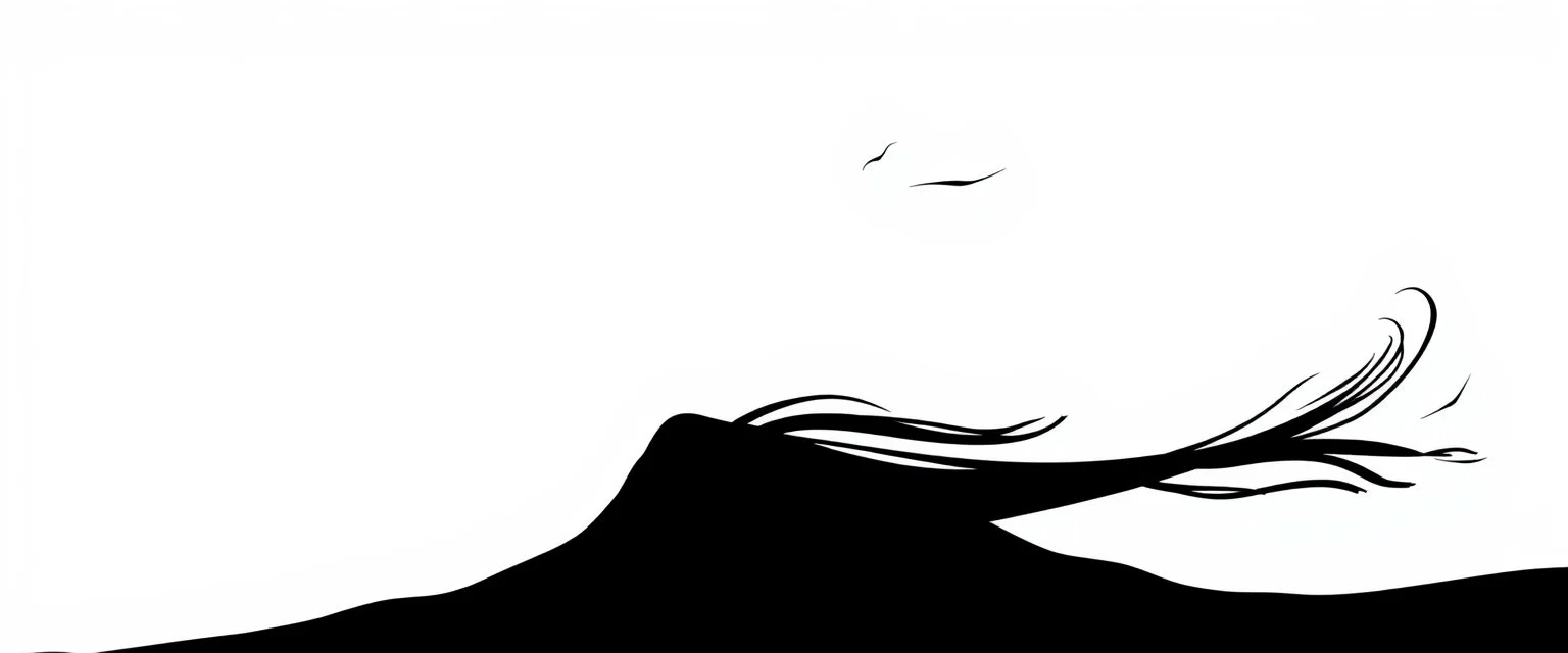 wind lines vector silhouette illustration(black on white)
