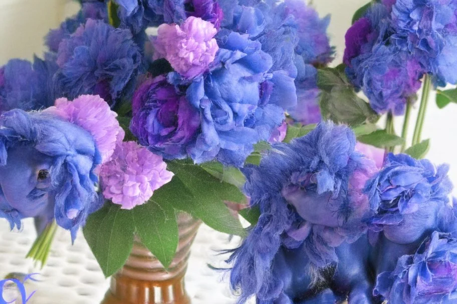 purple peonies and blue ponies