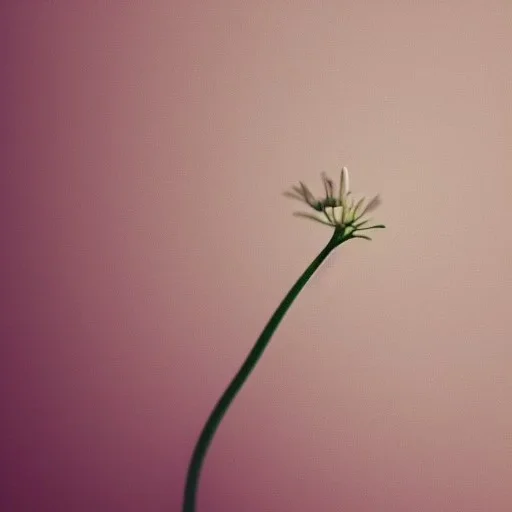 tiny delicate long stem flower, beautiful composition, centered in frame, pastel colors, plain solid color, photorealistic, chiaroscuro, aesthetic layout, monochrome pantone, minimalist photography, hyper realistic, octane render, minimalist art