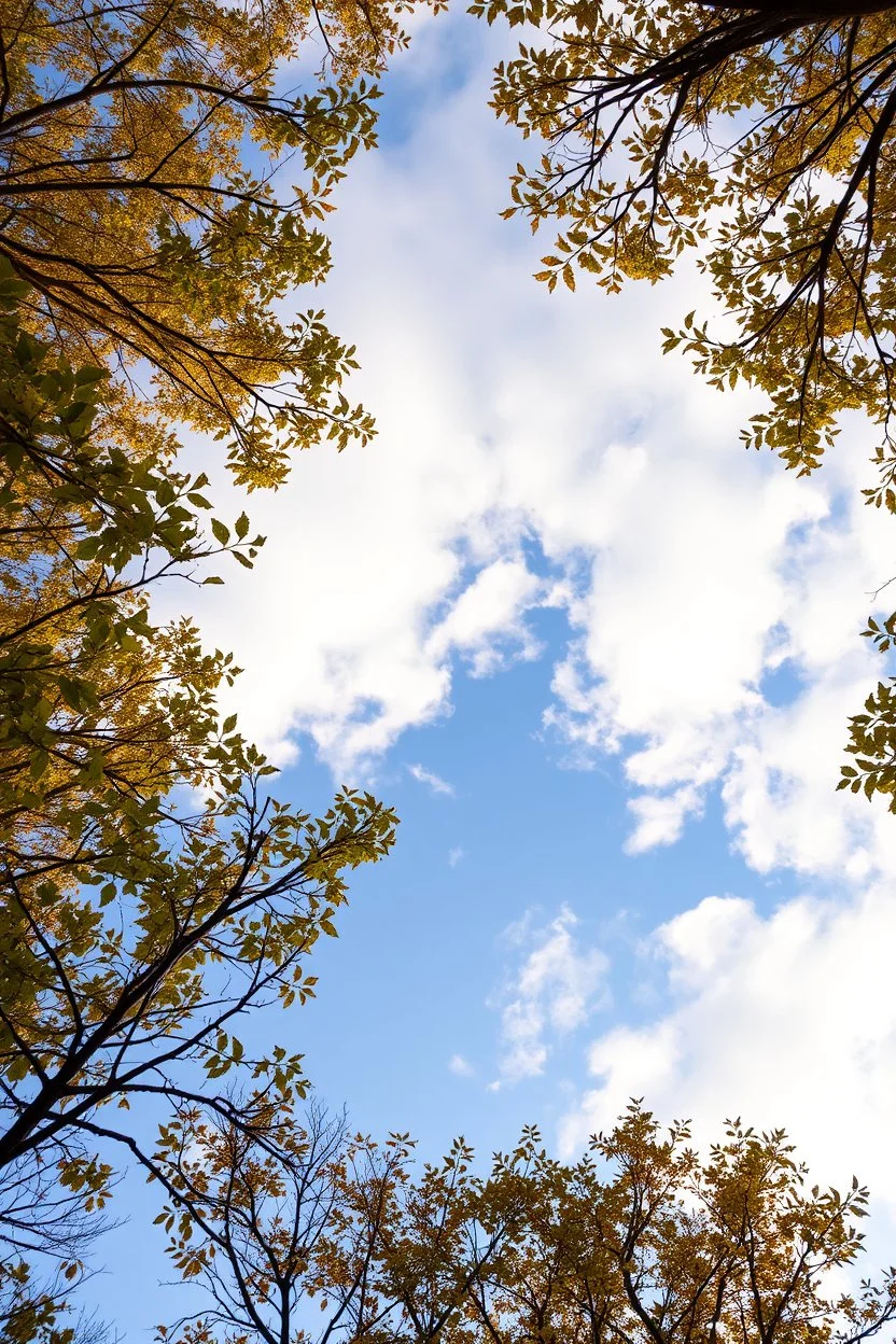 امنا الطبيعة في السماء
