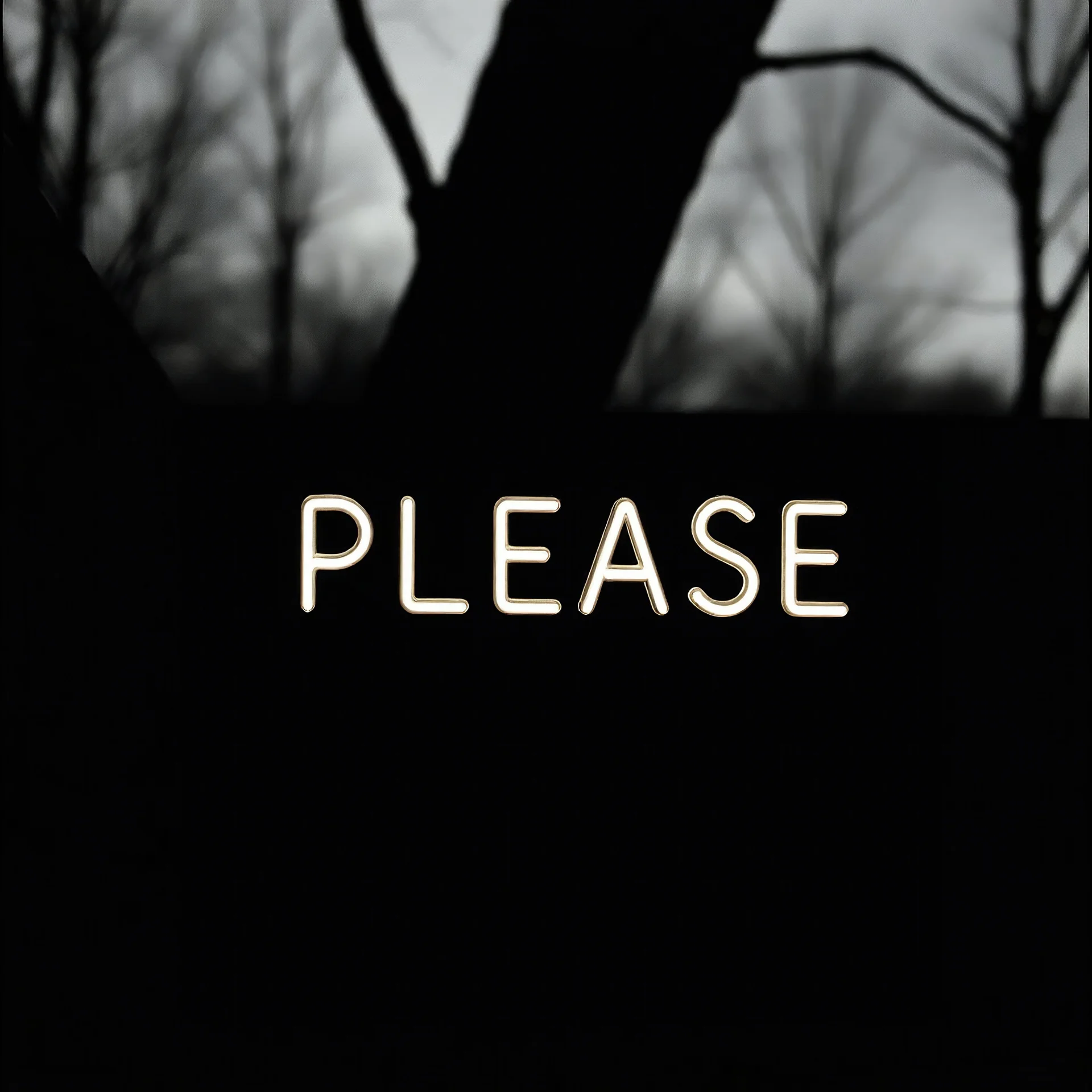 photograph, the word 'PLEASE' in the style of photographer Jack Moebes