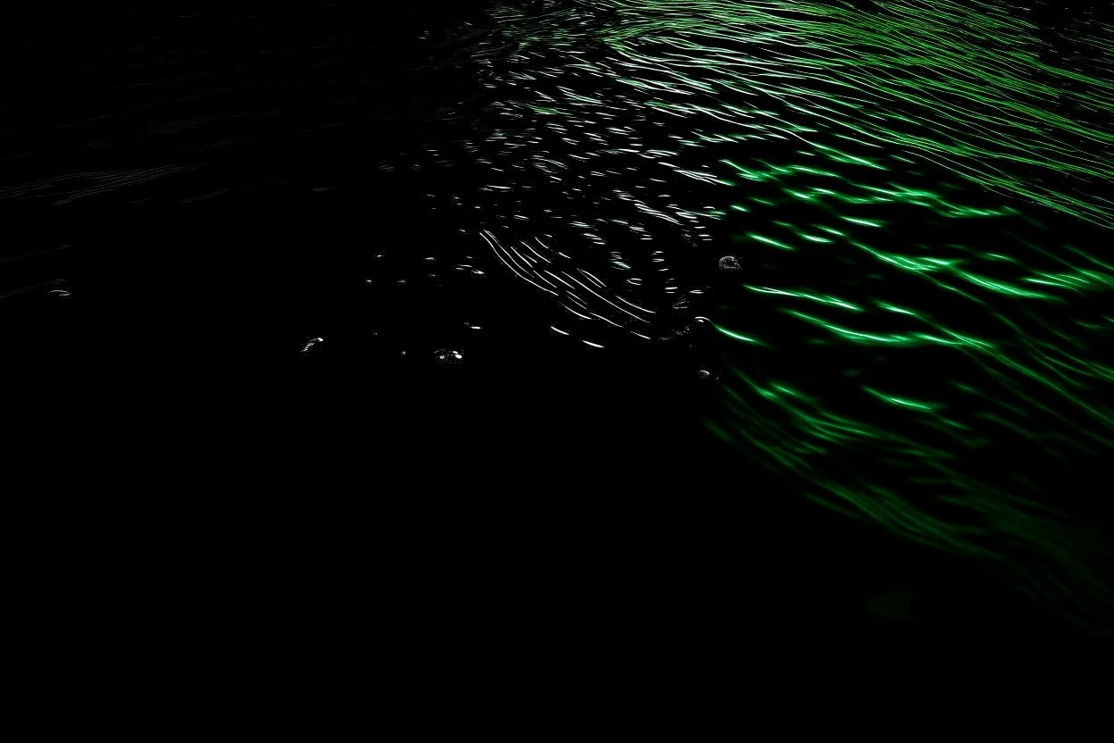 Dark green water/almost black I’m under the surface