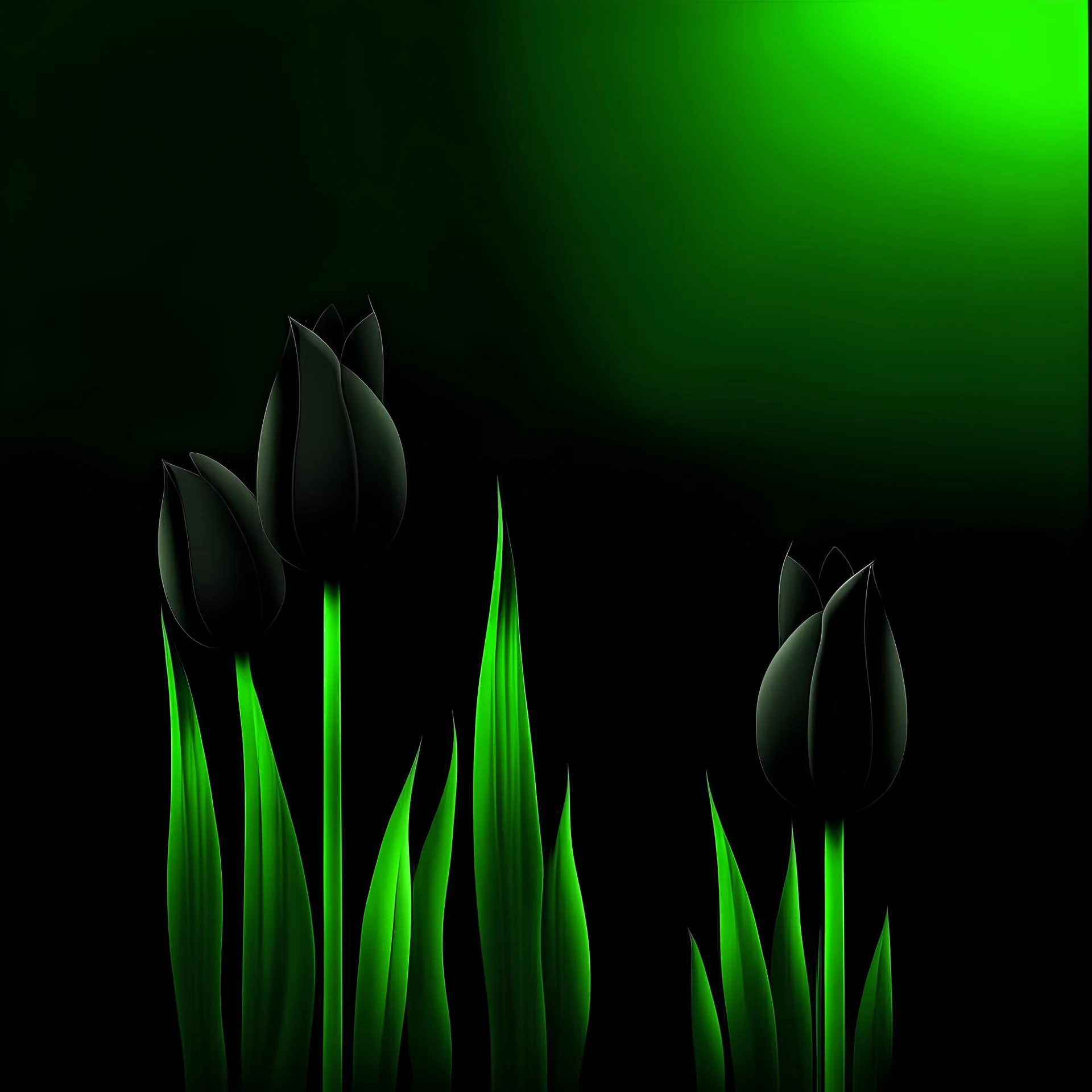 Create black tulip and green background
