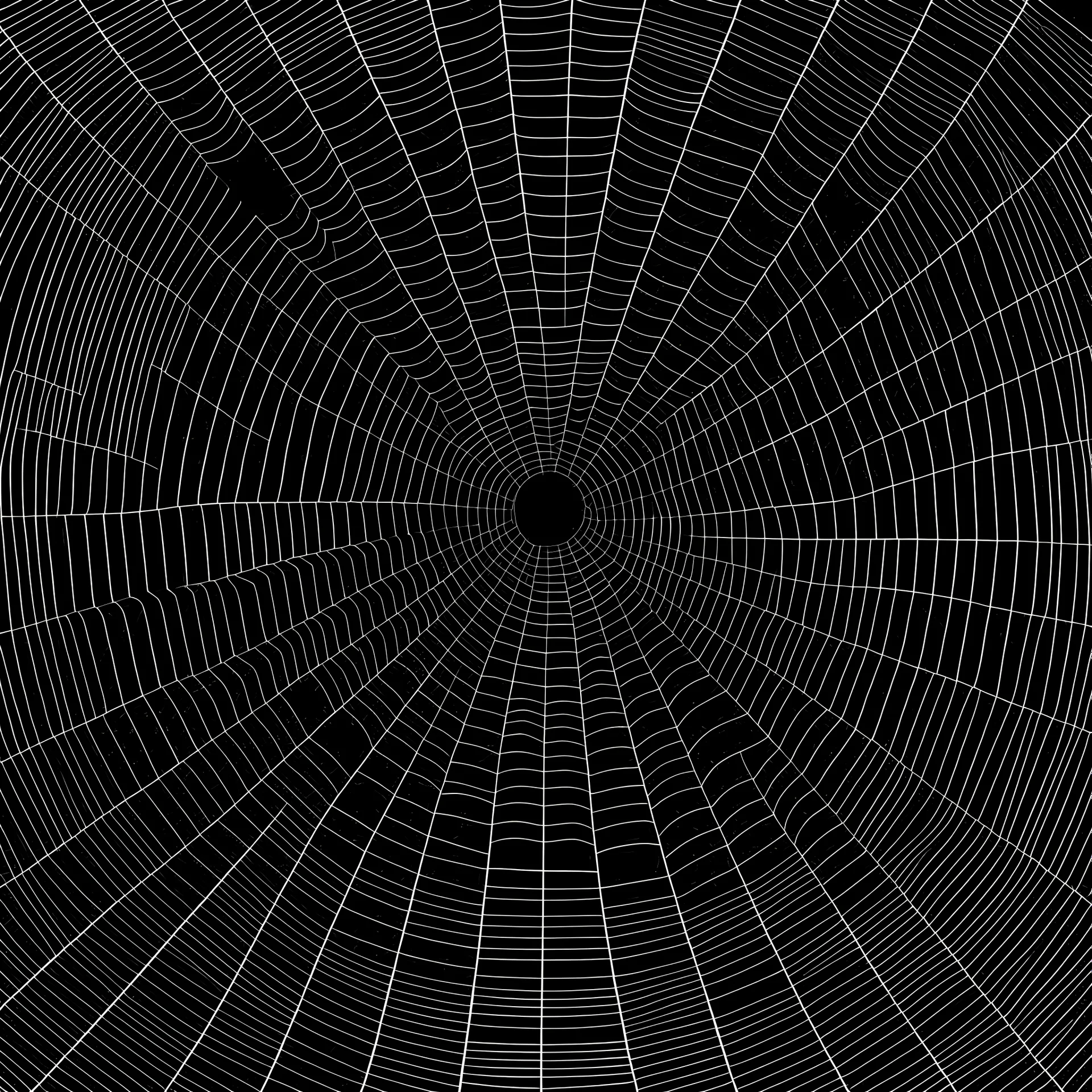 an image of a spiderweb on a black background so we can see the spiderwebs' shape