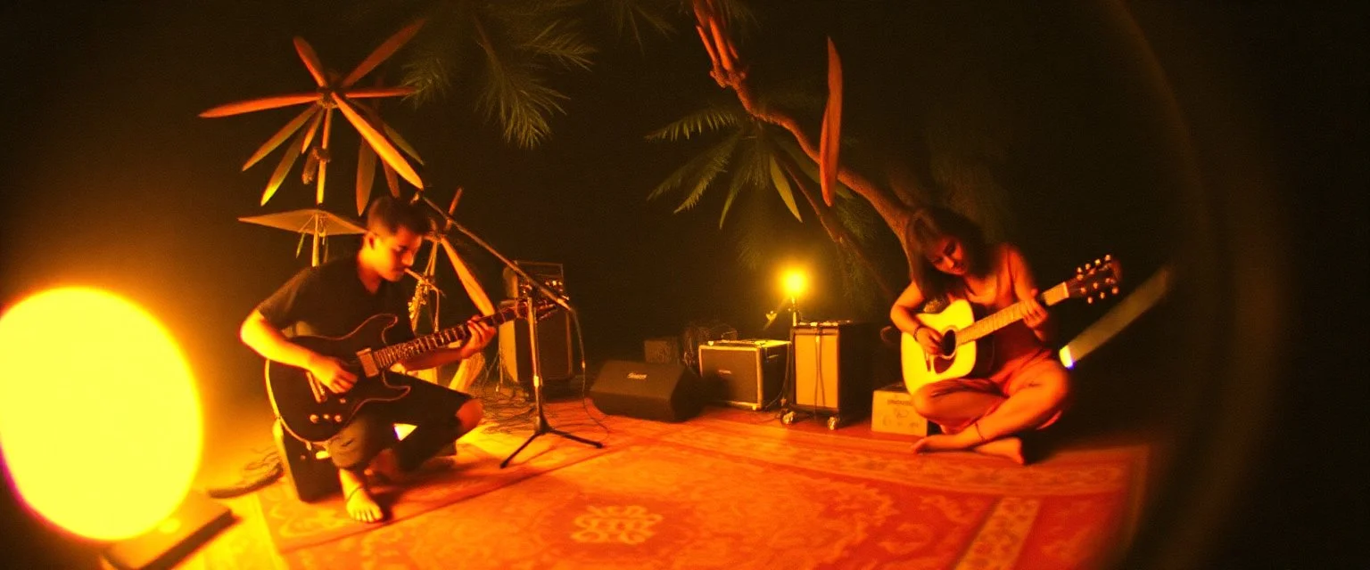 goa folk electronica trance, latin breaks, guitar, sitar, indian vibes, fsol, seen through pinhole cam