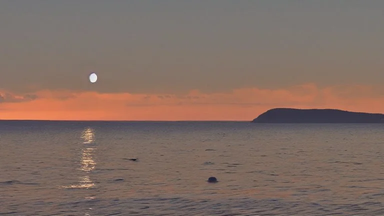 evening calm atmosphere, lake + moon, figure of a fisherman on the horizon