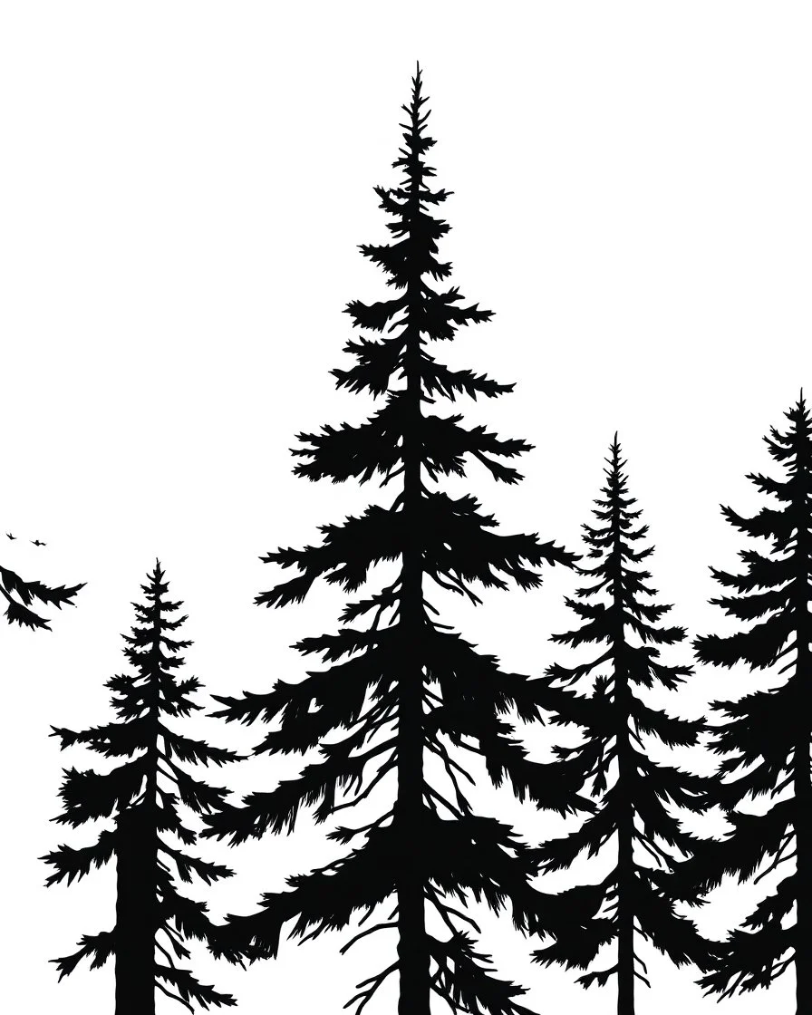 fir/pine tree silhouette, black on white detailed