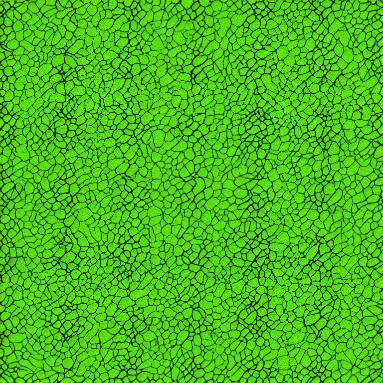 2d texture map, seamless, highly detailed, 8k, grass