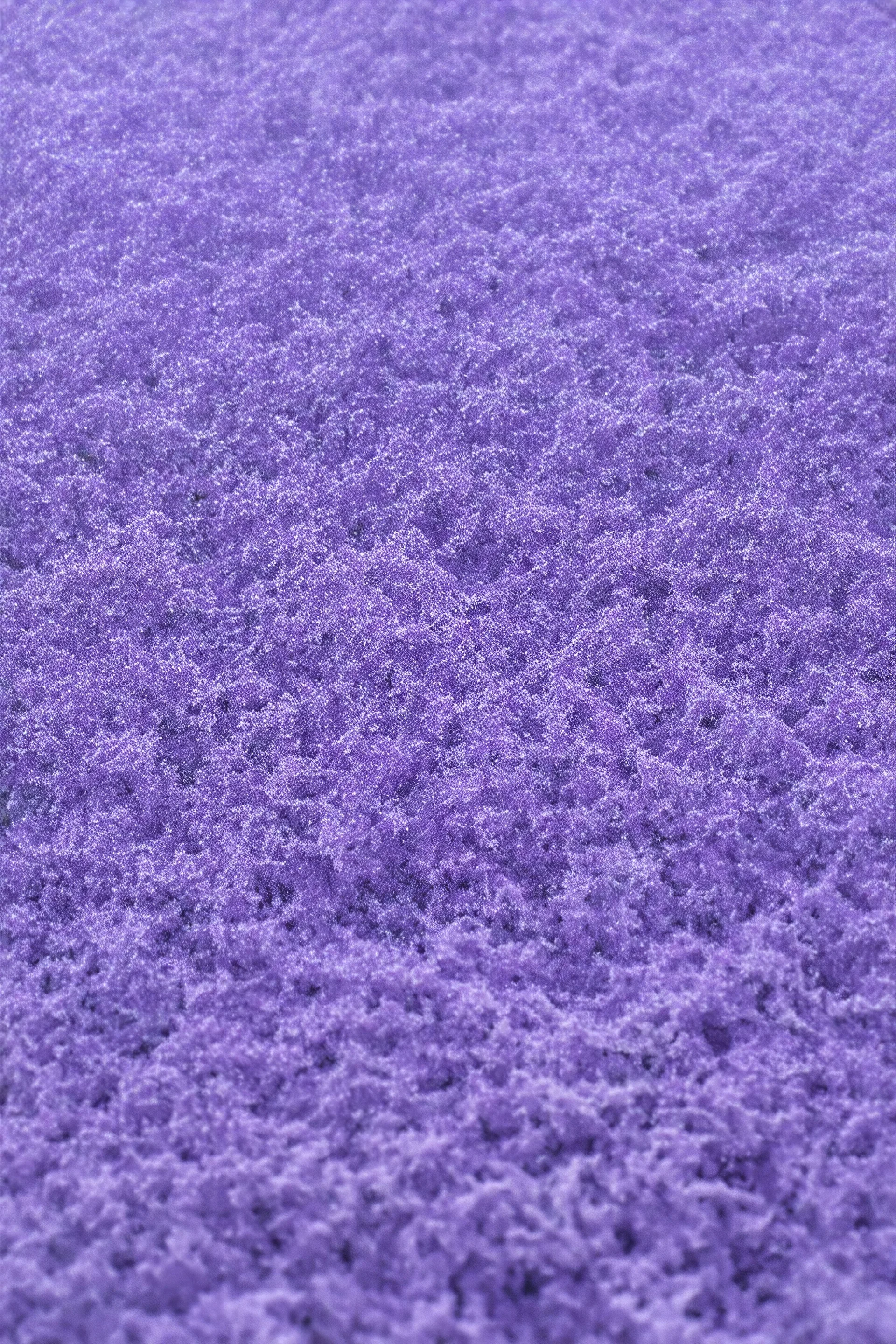 Purpke snow