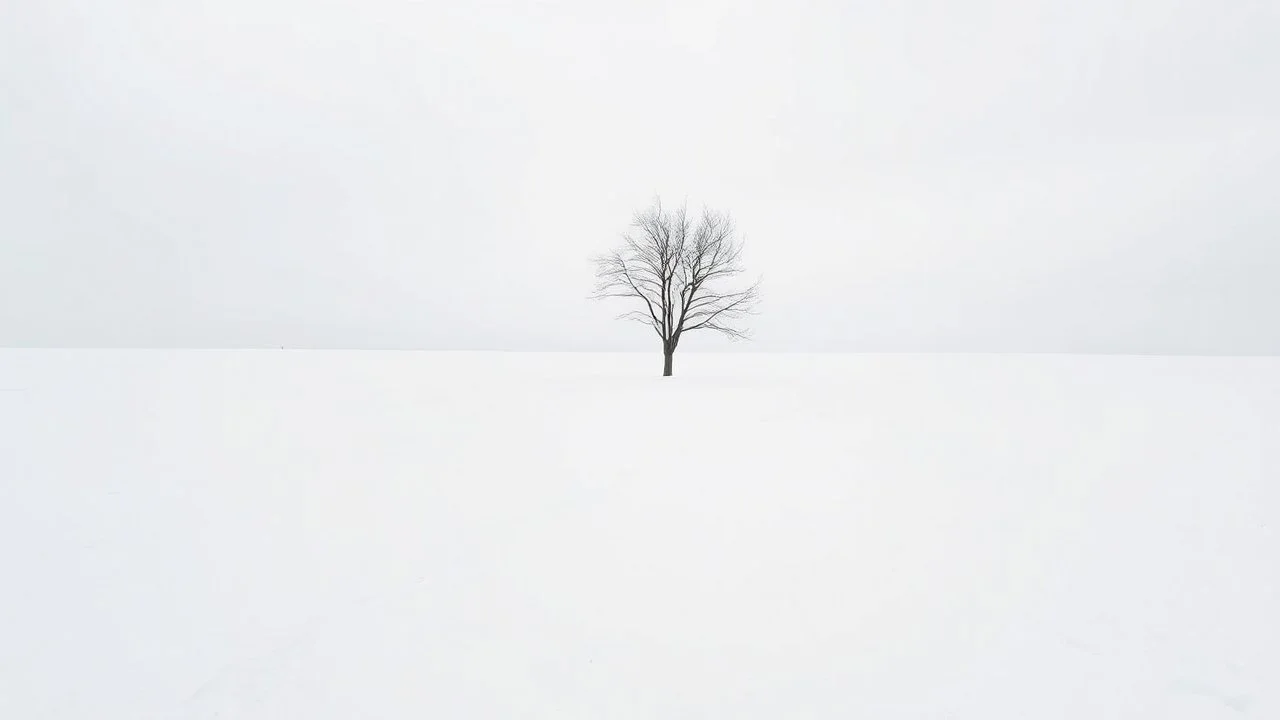 Image Prompt: The Whiteness of Silence Scene: A vast, snow-covered landscape stretching to the horizon under a pale winter sky. Composition: Wide-angle shot emphasizing the expanse of white. A single, bare tree stands off-center in the foreground, its dark branches creating stark contrast against the snow. Lighting: Soft, diffused light from an overcast sky, creating a sense of ethereal stillness. No harsh shadows, just subtle variations in the snow's texture. Color Palette: Predominantly wh