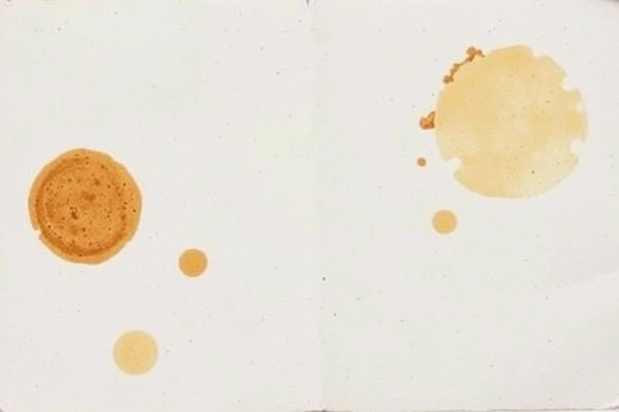 scan of old coffee stains on paper