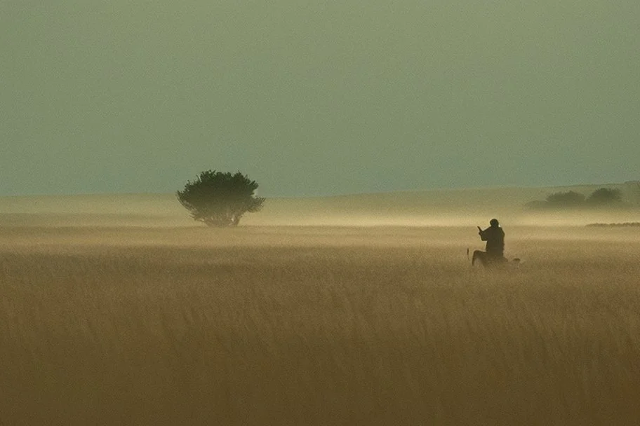 morning by Roger Deakins