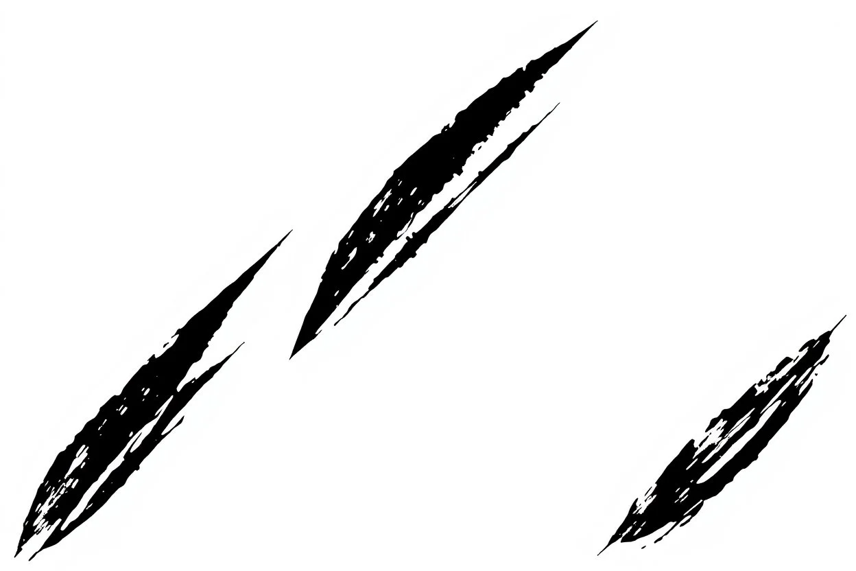 3 differentparallel diagonal claw slash marks in black on white, ragged, vector