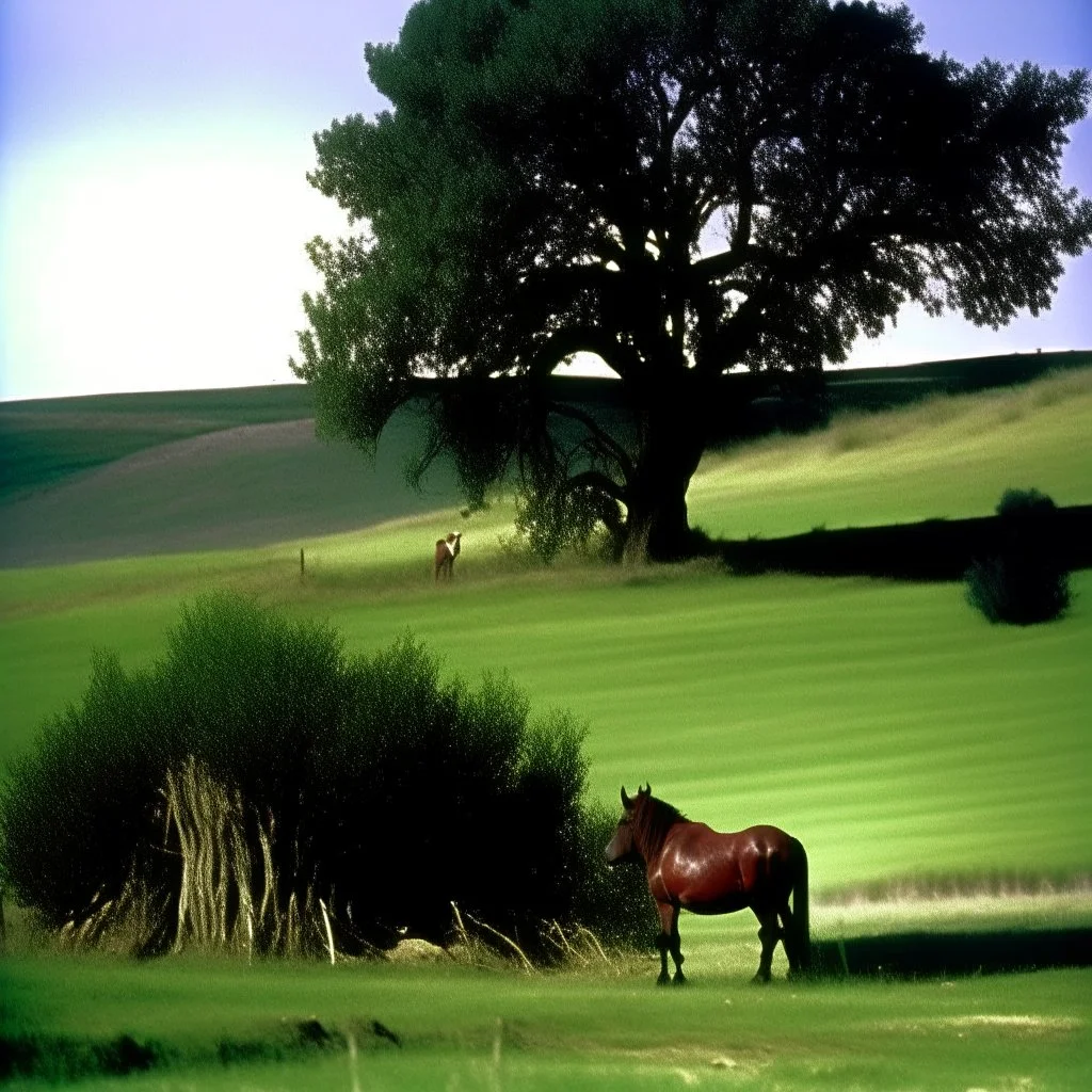 Nebraska 1997 Wild Horse Hill Photo, FNAF Purple guy in the foreground behind a tree.