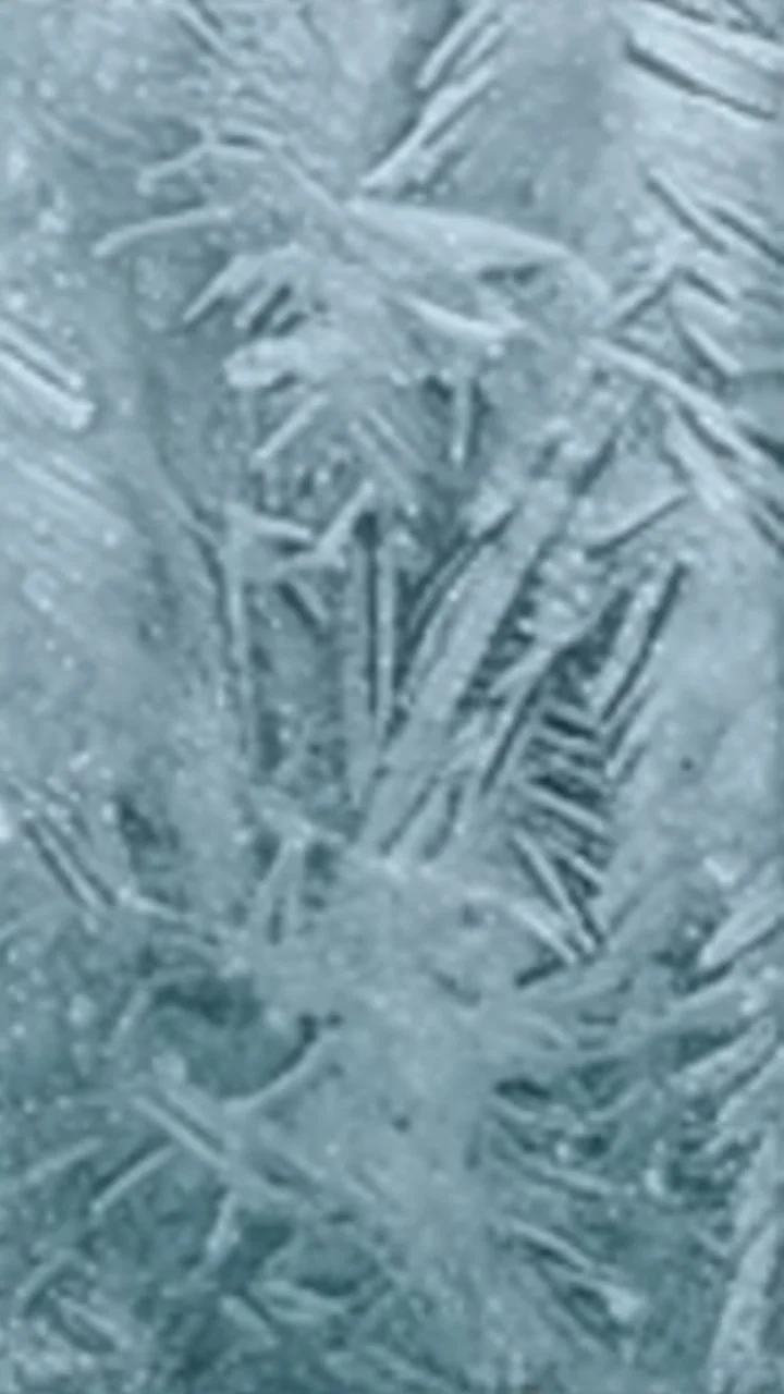 frost formed over glass