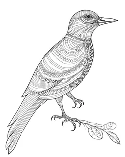 A coloring book page style image of a majestic, graceful bird, outlined in thin, bold lines, against a clean white background.